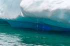 Antarctica, Yalour Islands. Close-up of melting iceberg. Art Print